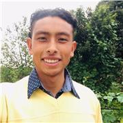 Profesor de Educación física, Deportes, Actividad física y Recreación